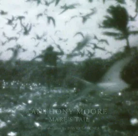 Anthony Moore - Mare's Tail LP