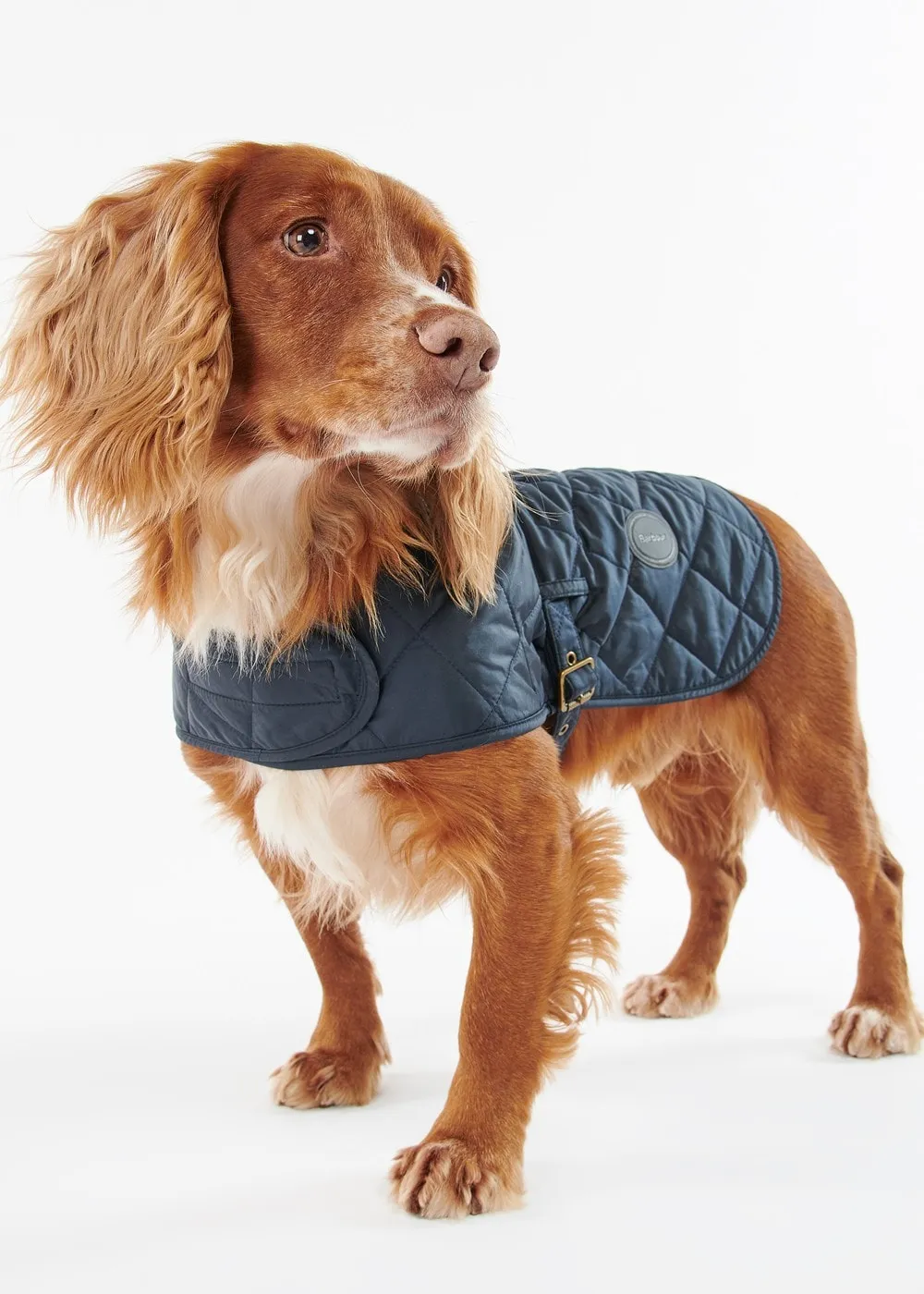 Quilted Dog Coat