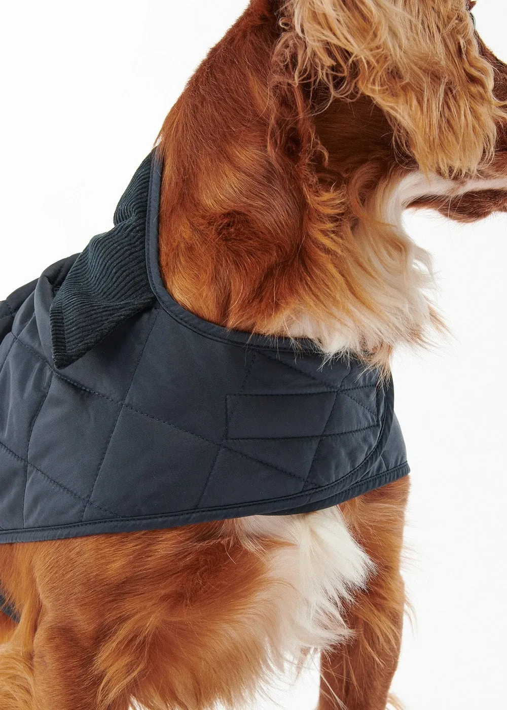 Quilted Dog Coat