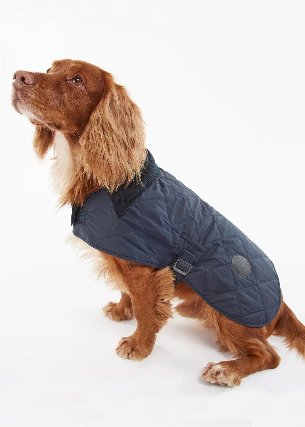 Quilted Dog Coat