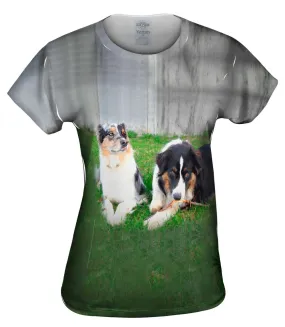 Social Collies